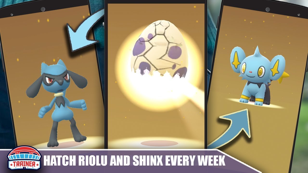 Can You Breed Riolu? A Comprehensive Guide to the Egg-Hatching Mystery!