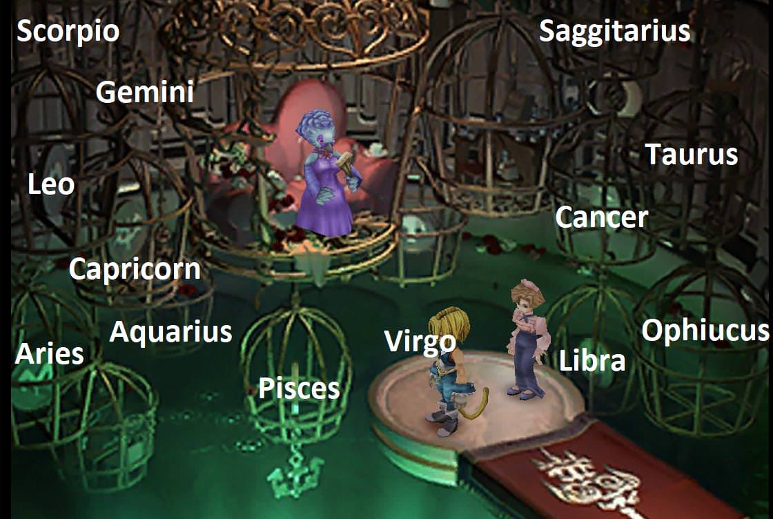 Everything You Need to Know About FF9 Zodiac Coins
