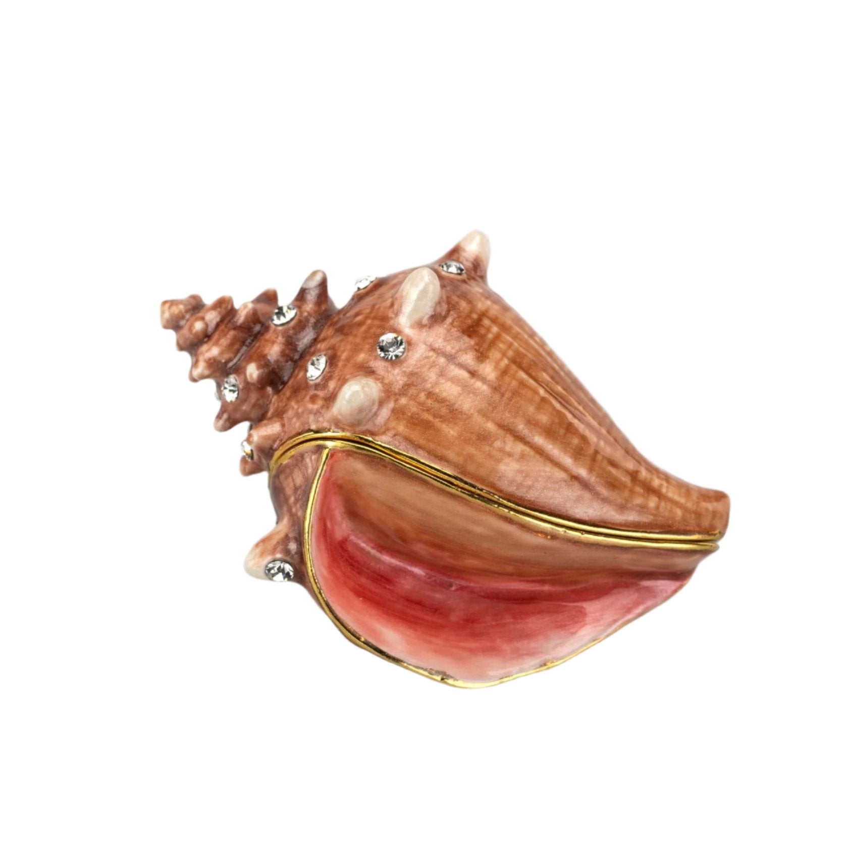 Box of Conch: What Is It and How to Deal with It in Your Game?