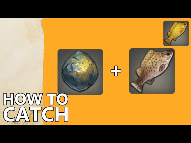 FFXI Gold Carp: A Guide to the Mysterious Fish and How to Catch It