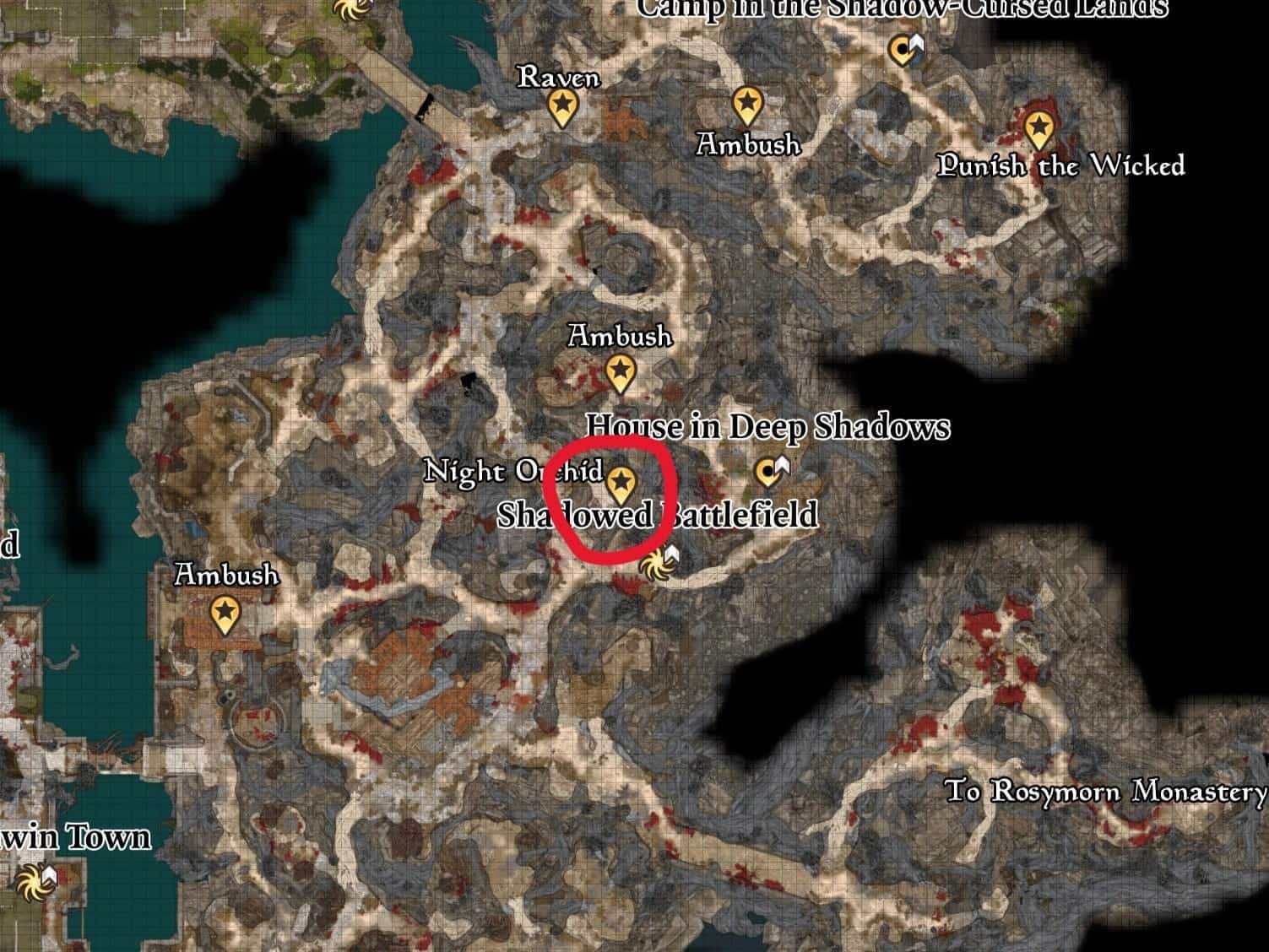 BG3 Night Orchid Locations: Where to Find Them and How to Use Them
