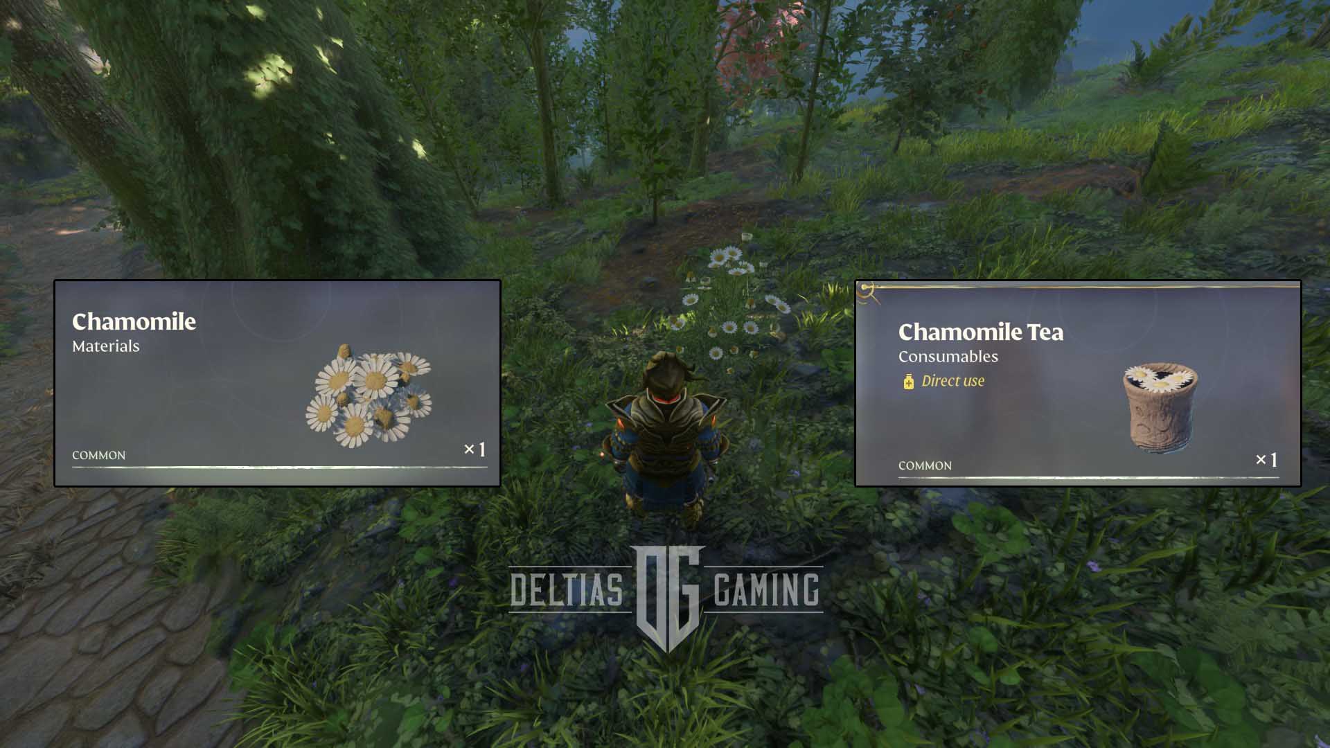 Enshrouded Chamomile Tea: The Curious Case of the Game’s Quirky Feature