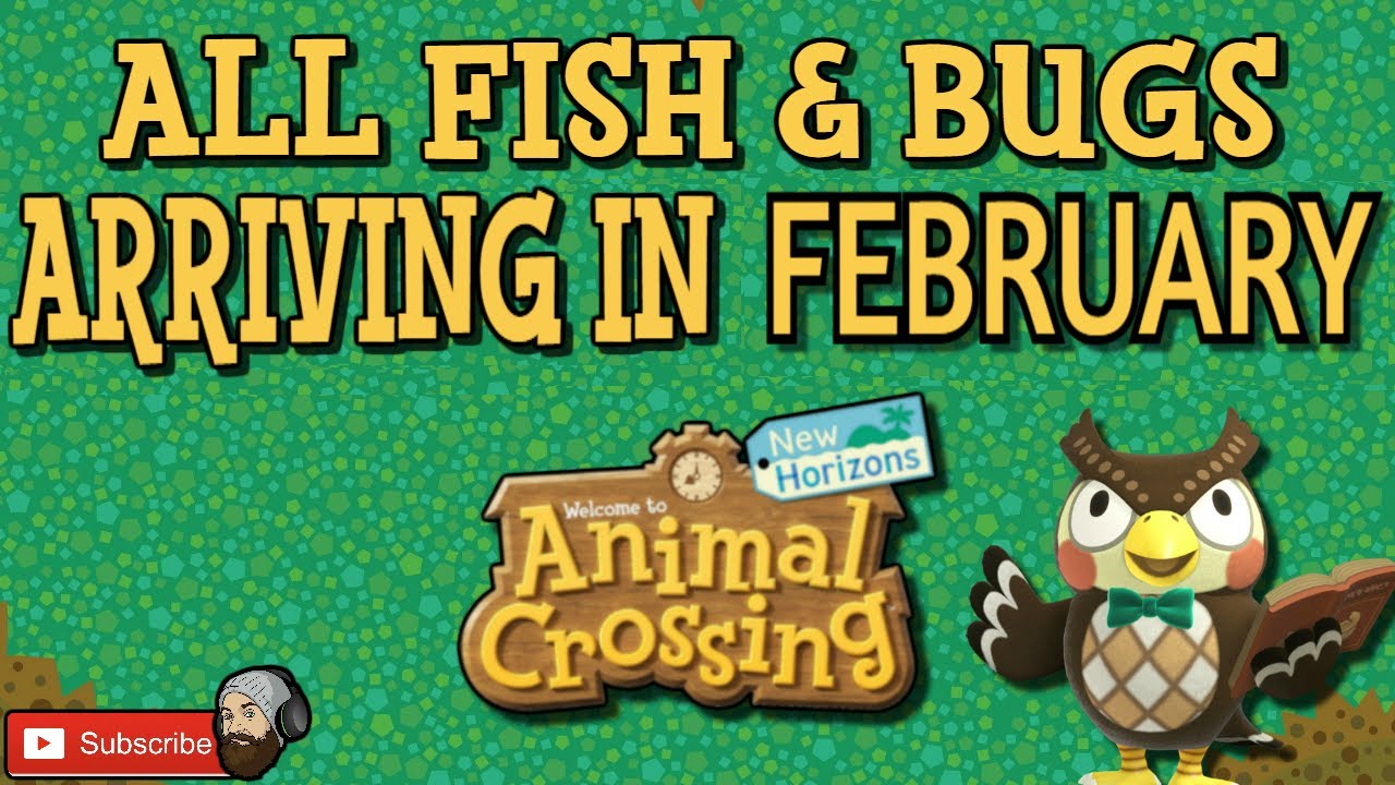 Bugs in February ACNH: A Hiccough in Your Island Adventure