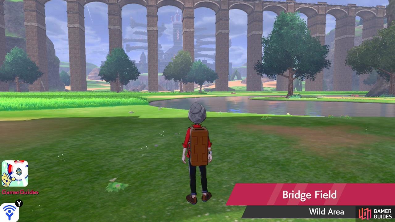 Bridge Field Pokemon Sword: Exploring the Mystery and Solutions