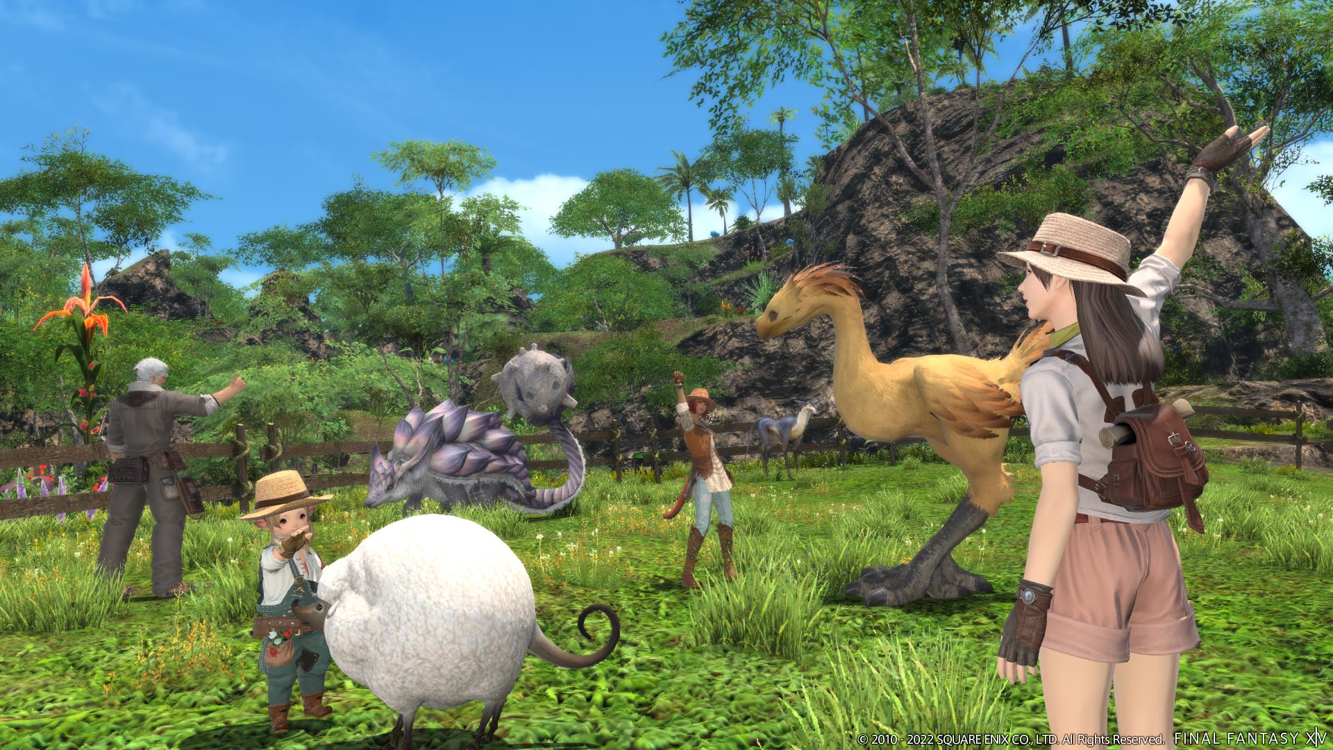 Exploring FFXIV Island Alyssum: What Players Need to Know