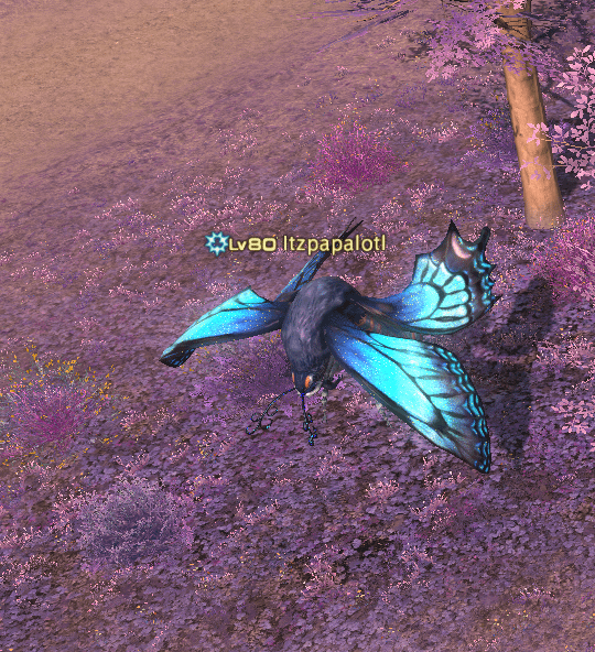 Butterfly Specimen FFXIV: The Butterfly That Keeps Escaping!