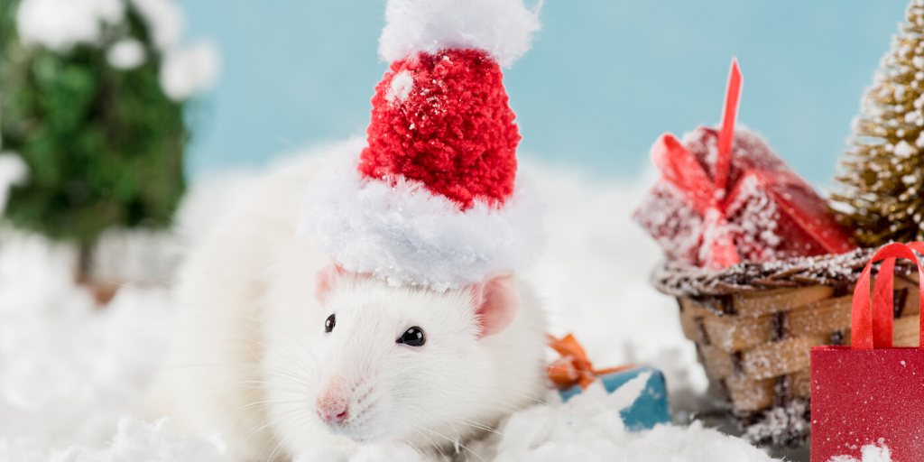 December Bugs: The Unwanted Guests in Your Game This Holiday Season