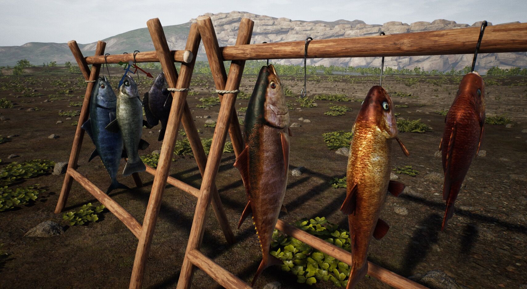 Drying Fish Rack: The Struggle and Solutions for Gamers