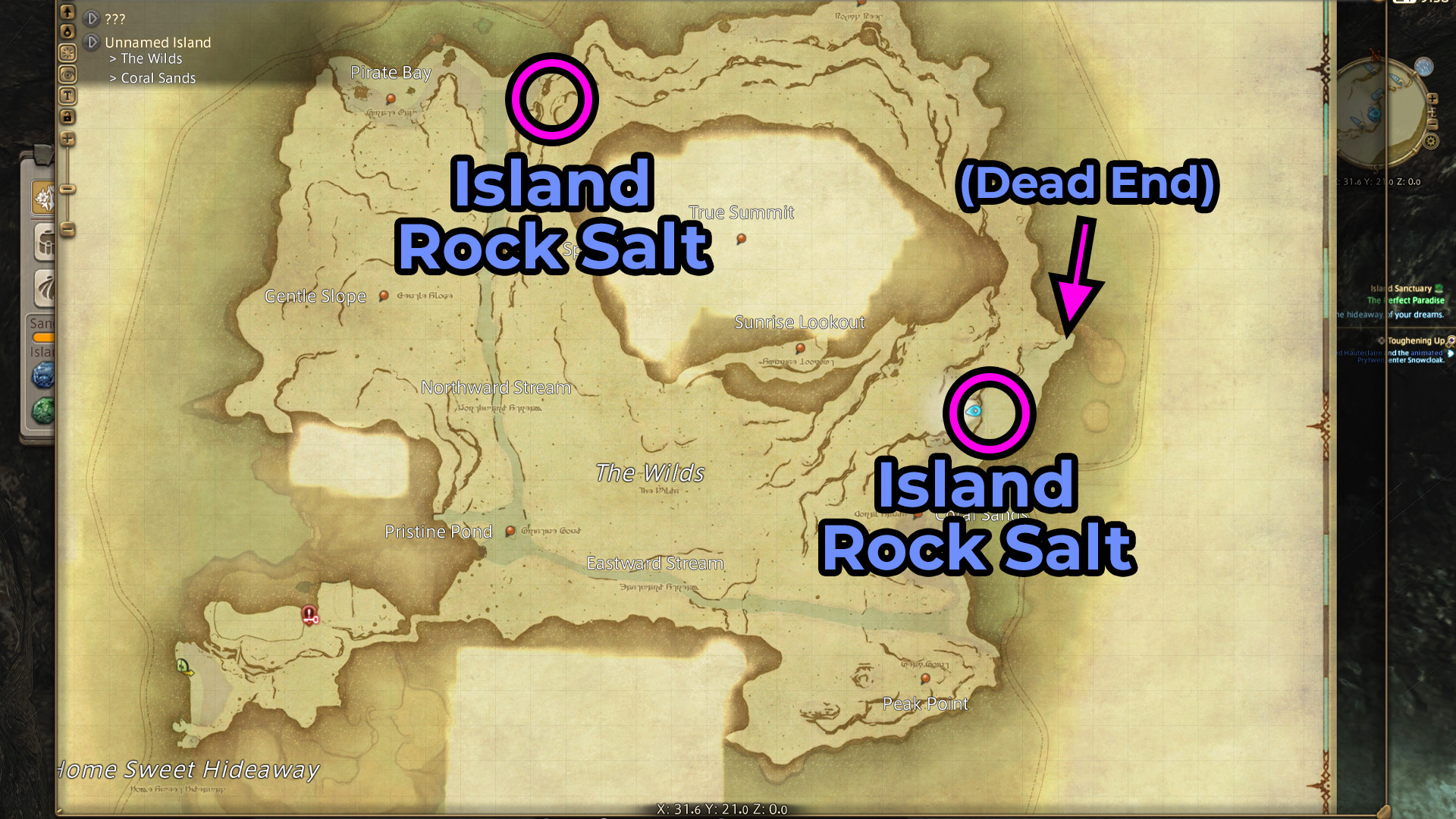 FFXIV Island Rock Salt: The Mystery and Solutions for Players