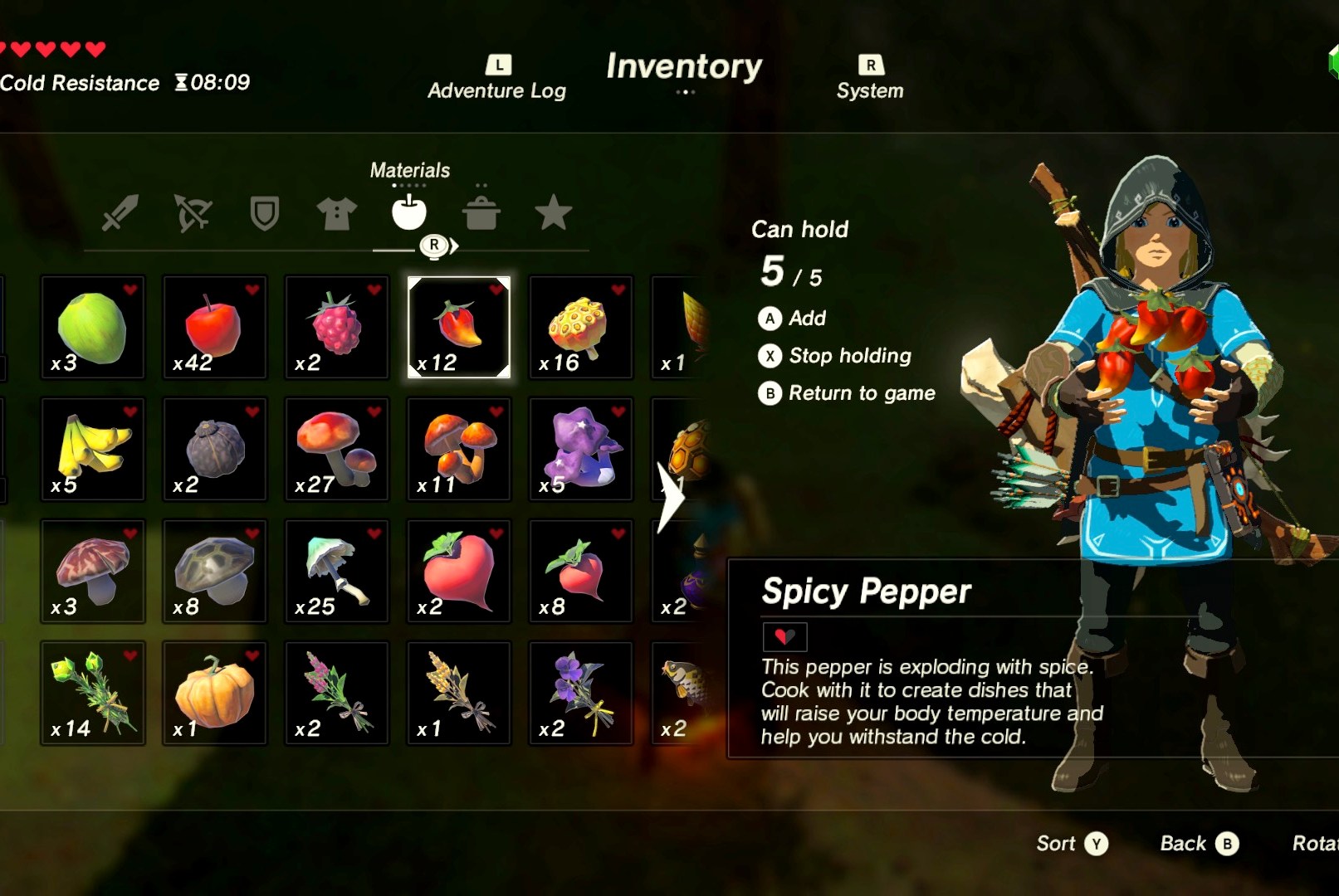 Breath of the Wild DLC Great Plateau Chests: Secrets and Solutions