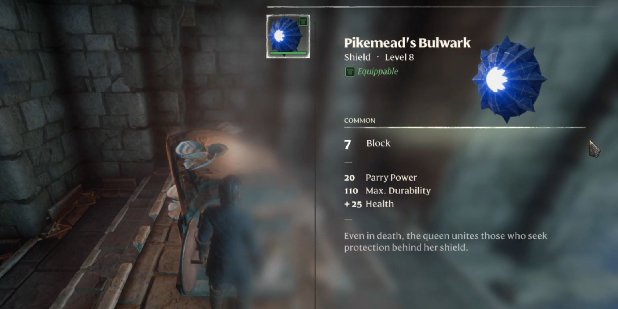 Enshrouded Shields: A New Challenge in Gaming