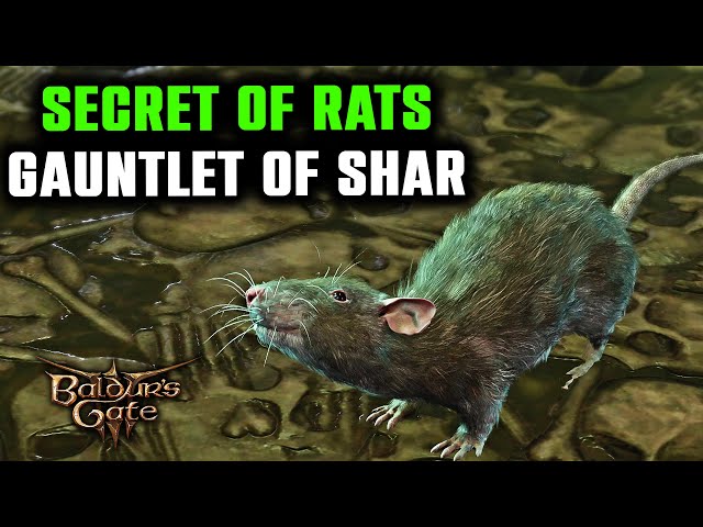 BG3 Rats Gauntlet of Shar: The Challenge, the Frustration, and the Victory