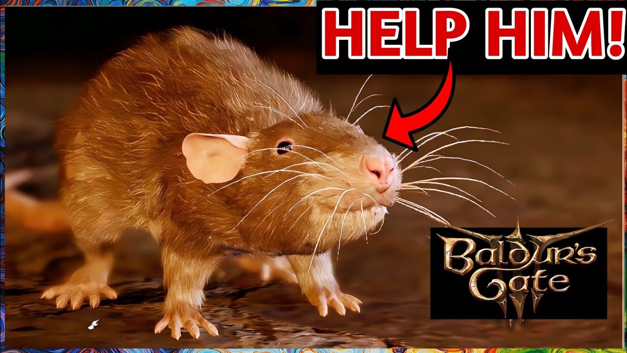 BG3 Many Rats: Why There Are So Many Rats in Baldur’s Gate 3 and How to Deal With Them