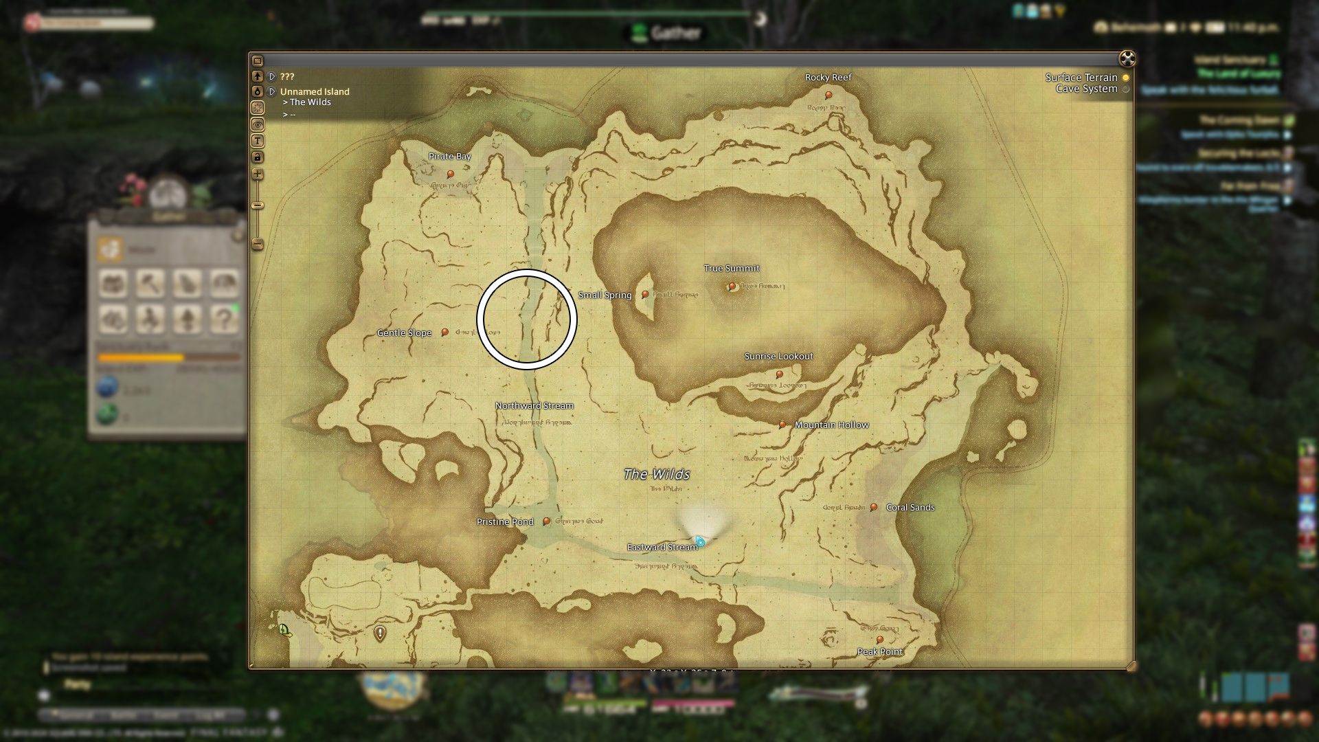 FFXIV Island Sugarcane: A Sweet Challenge on Your Island