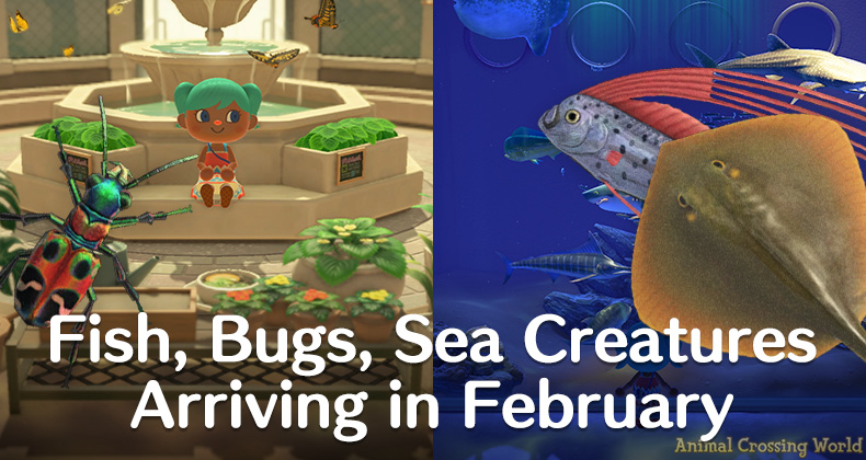 Bugs in February ACNH: A Hiccough in Your Island Adventure