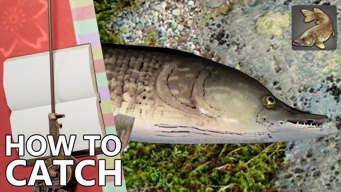 FFXI Gold Carp: A Guide to the Mysterious Fish and How to Catch It