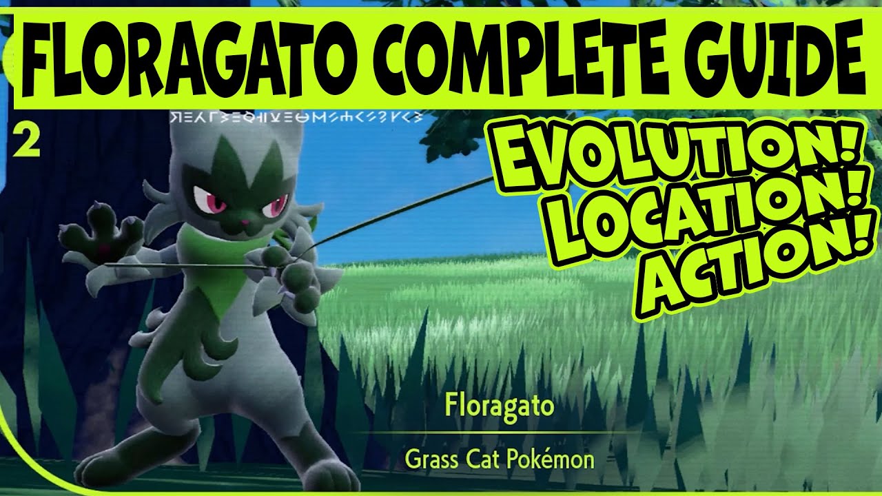 Floragato Best Moveset: How to Build the Perfect Team for Floragato!