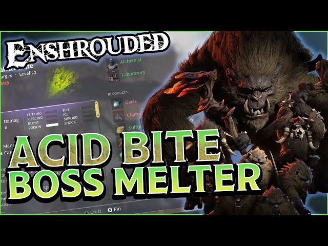 Enshrouded Acid Bite: What’s Going On and How to Fix It