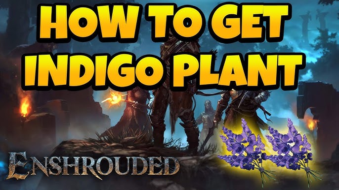 Enshrouded Indigo: A Game with a Twist - What’s the Deal?