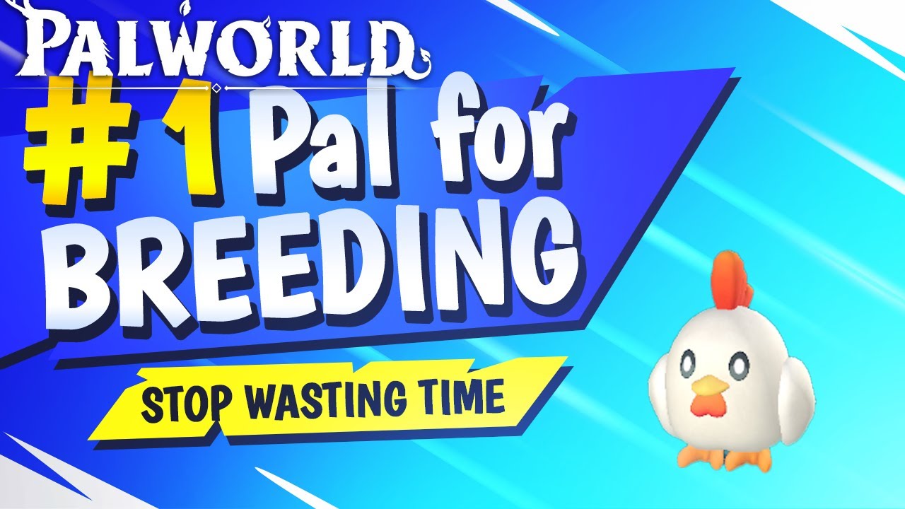 Chikipi Breeding: Fun, Frustration, and How to Make It Work