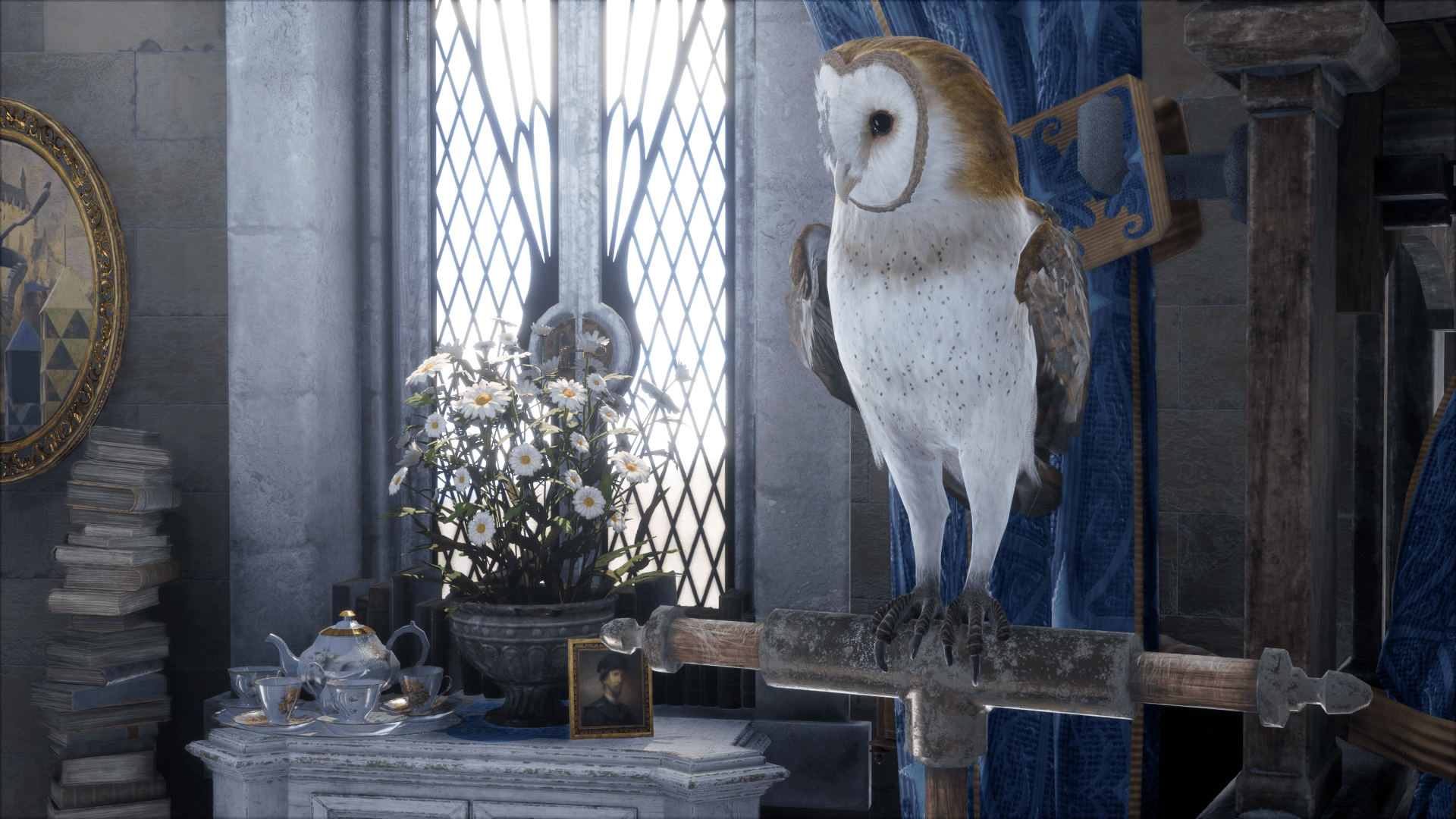 Can You Get an Owl in Hogwarts Legacy?