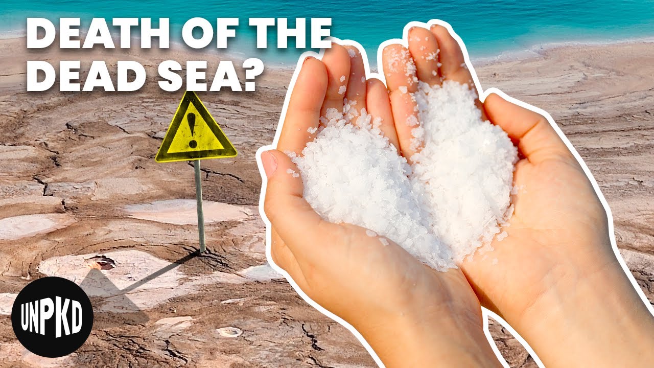 Decanus Dead Sea: What’s the Issue and How Can You Fix It?