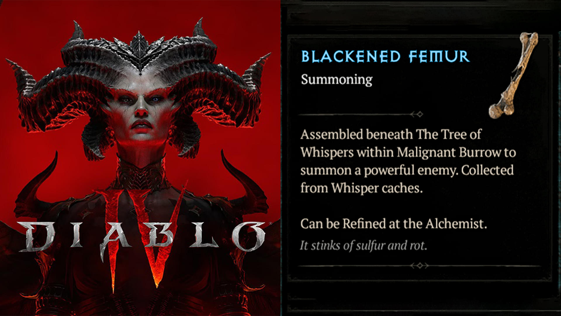 Understanding Diablo Blackened Femur: Issue, Solutions, and Player Experience