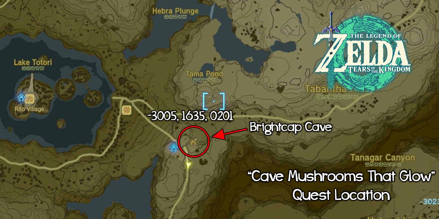 Cave Mushrooms That Glow TOTK: How to Find and Use Them