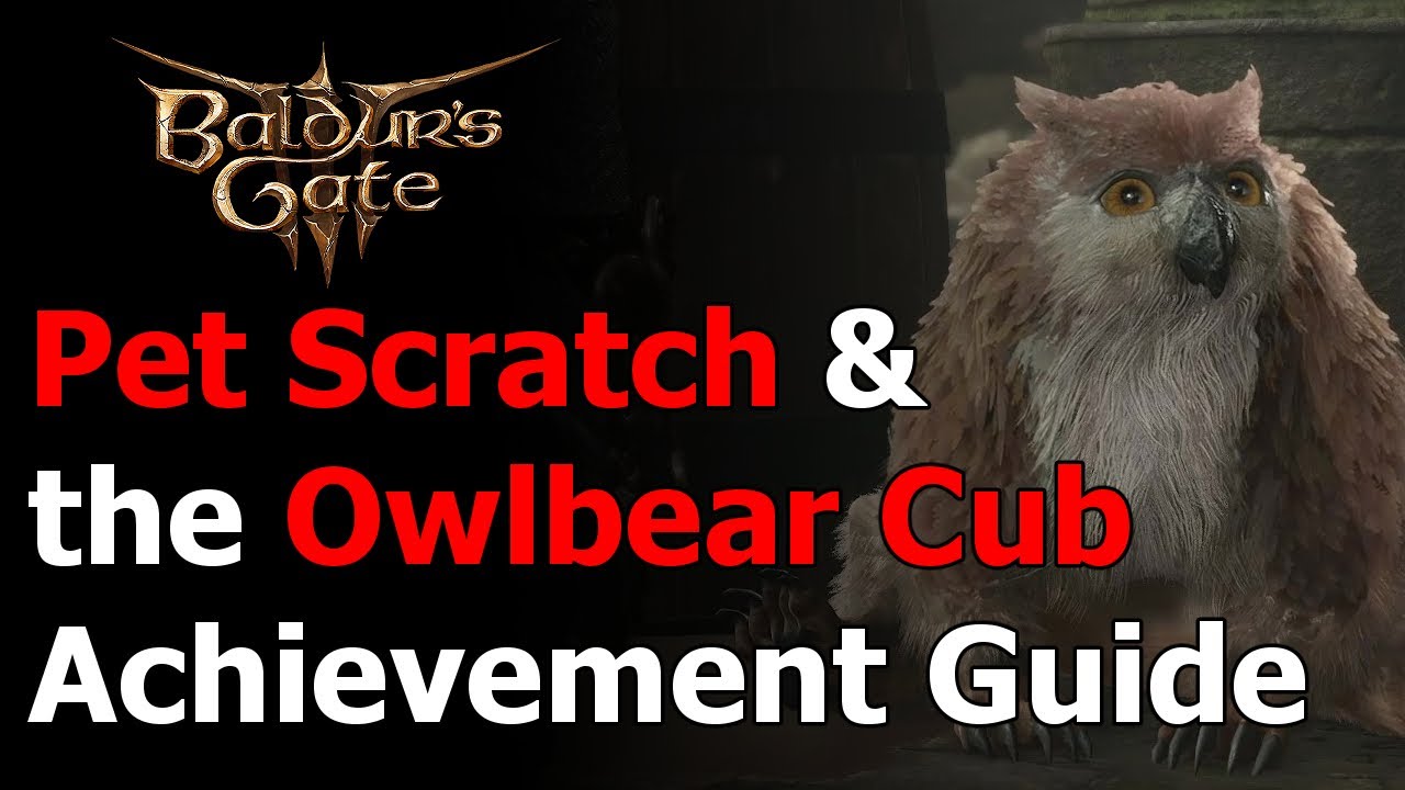 BG3 Pet Scratch and Owlbear: A Strange Problem That Needs Attention