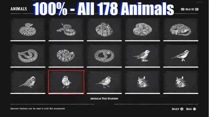 Animal Compendium RDR2: A Complete Guide to the Wild World of Red Dead Redemption 2