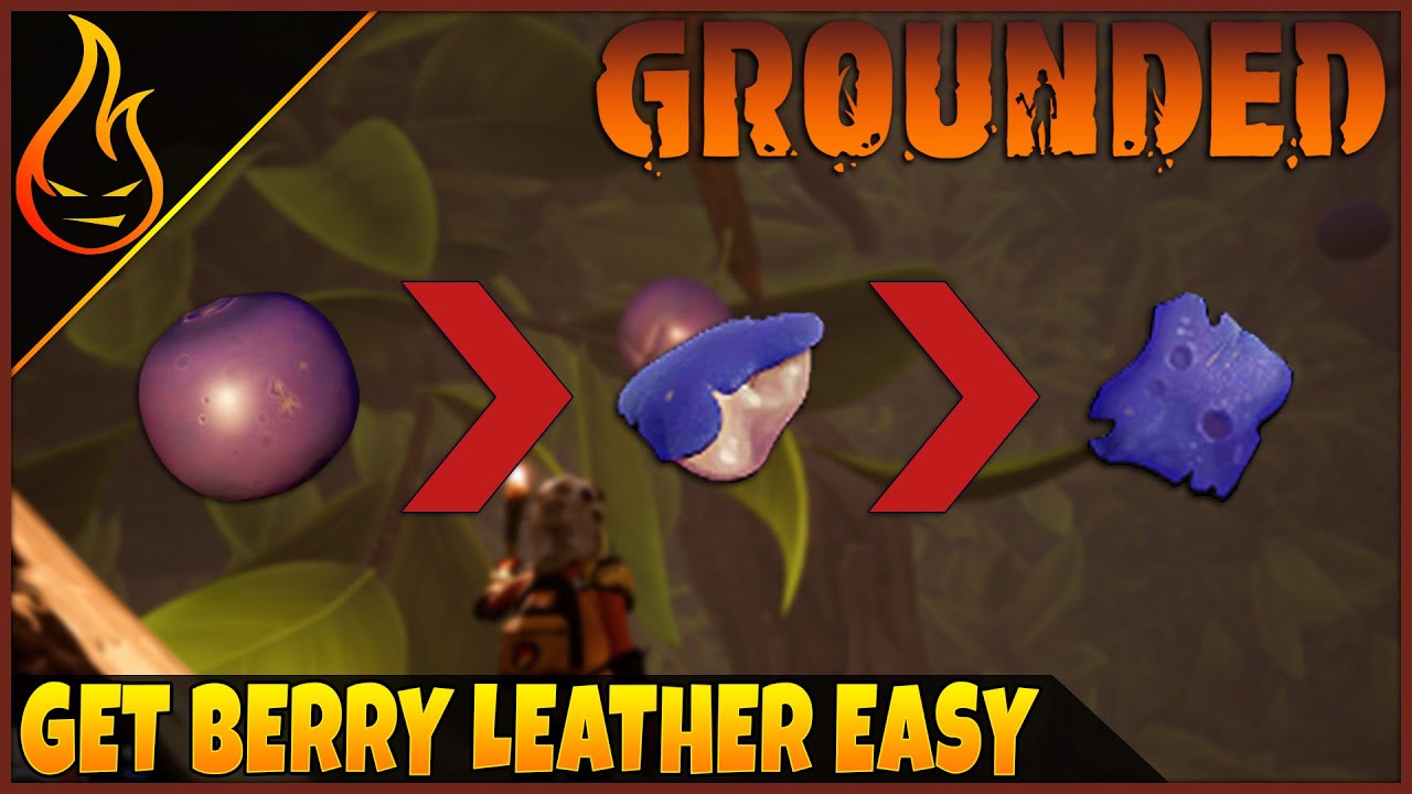 Everything You Need to Know About Berry Leather in Games