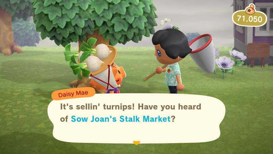 Animal Crossing Trade: How to Make the Best Deals in the Game
