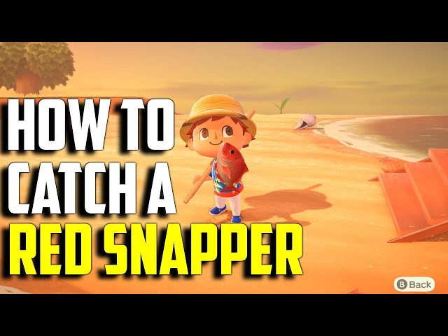 ACNH Red Snapper: Everything You Need to Know