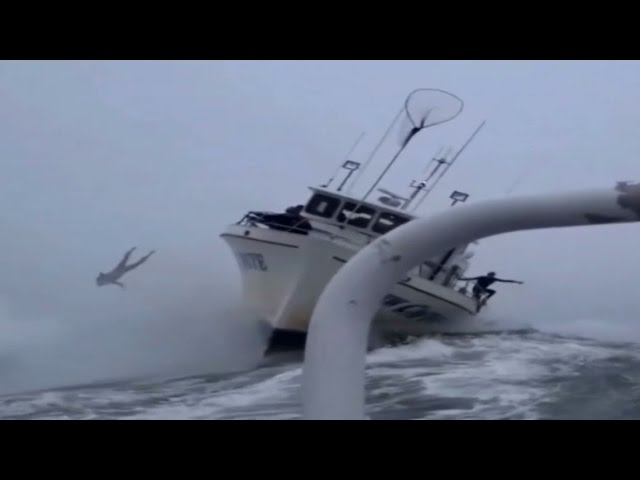 Ballas on a Boat: What Happens When the Gang Hits the Waves?