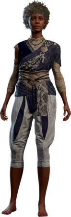 Baldur's Gate 3 Drunken Cloth: What is It and How to Fix It?