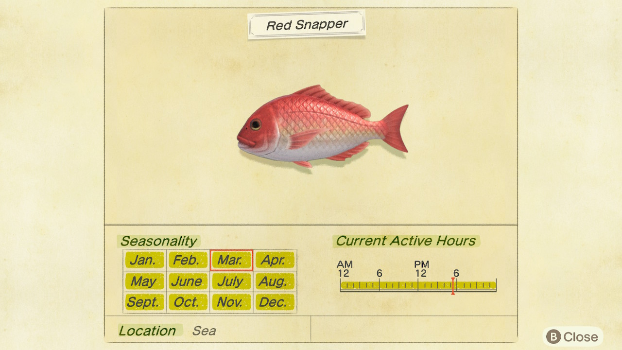 ACNH Red Snapper: Everything You Need to Know
