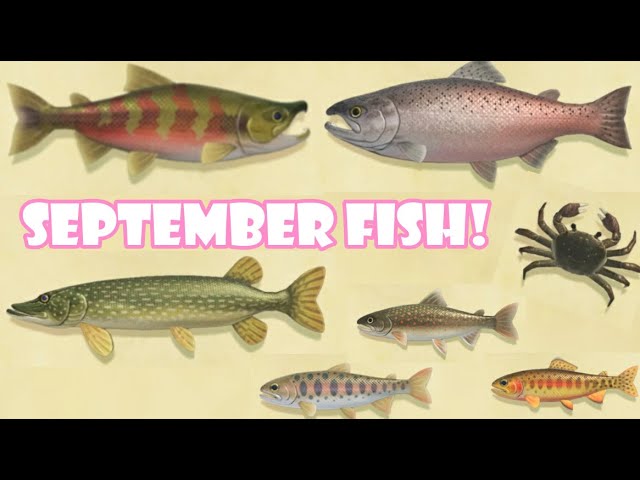 Animal Crossing September Fish: A Guide to the Best Catch of the Month