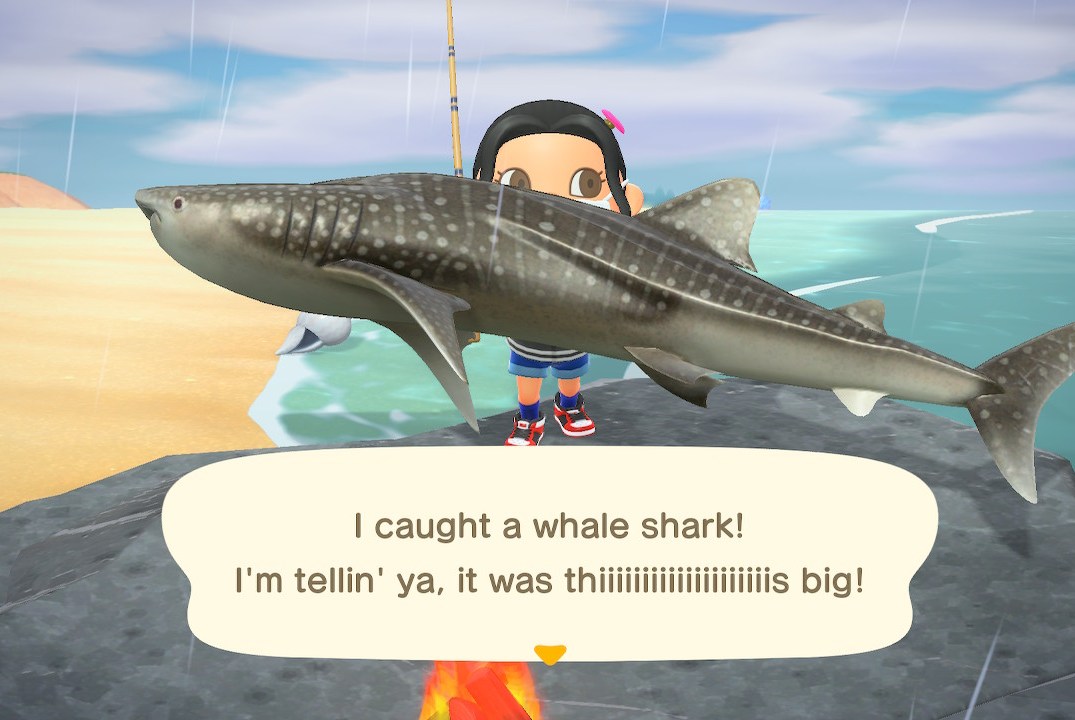 Animal Crossing Sea Creatures December: What to Catch and Why It’s So Exciting