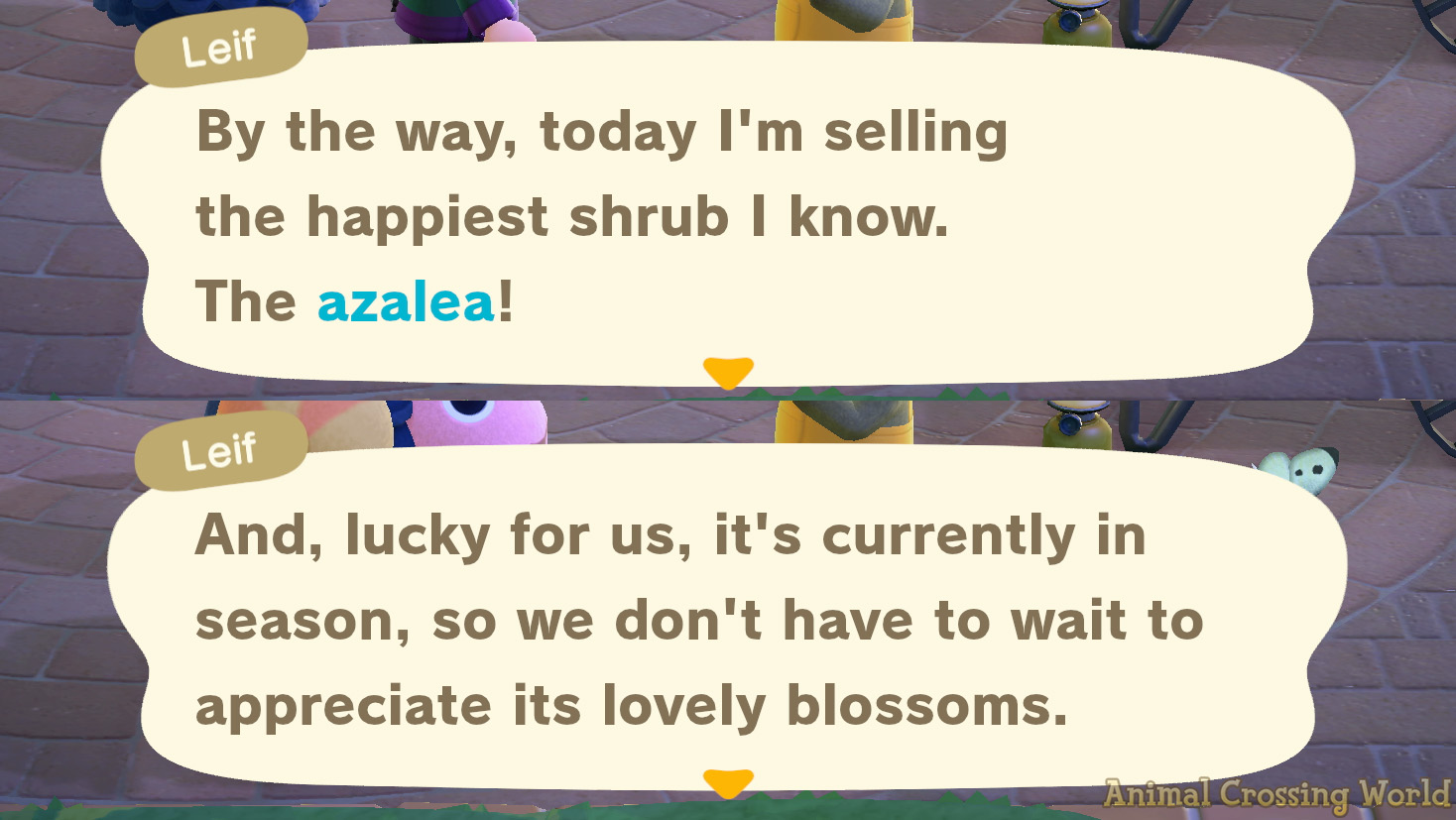Azalea Bush ACNH: How to Get the Beautiful Flowering Shrub and Decorate Your Island