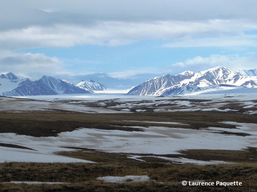 Aspect of the Frozen Tundra: What You Need to Know and How to Tackle It