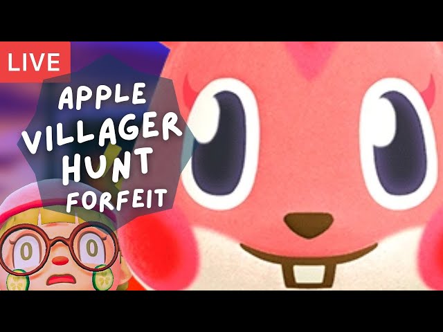ACNH Hamster Villagers: Fun, Challenges, and Everything in Between