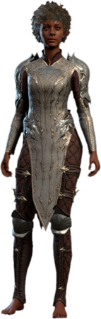 Baldur's Gate 3 Elven Chain: The Armor That Brings Joy and Frustration