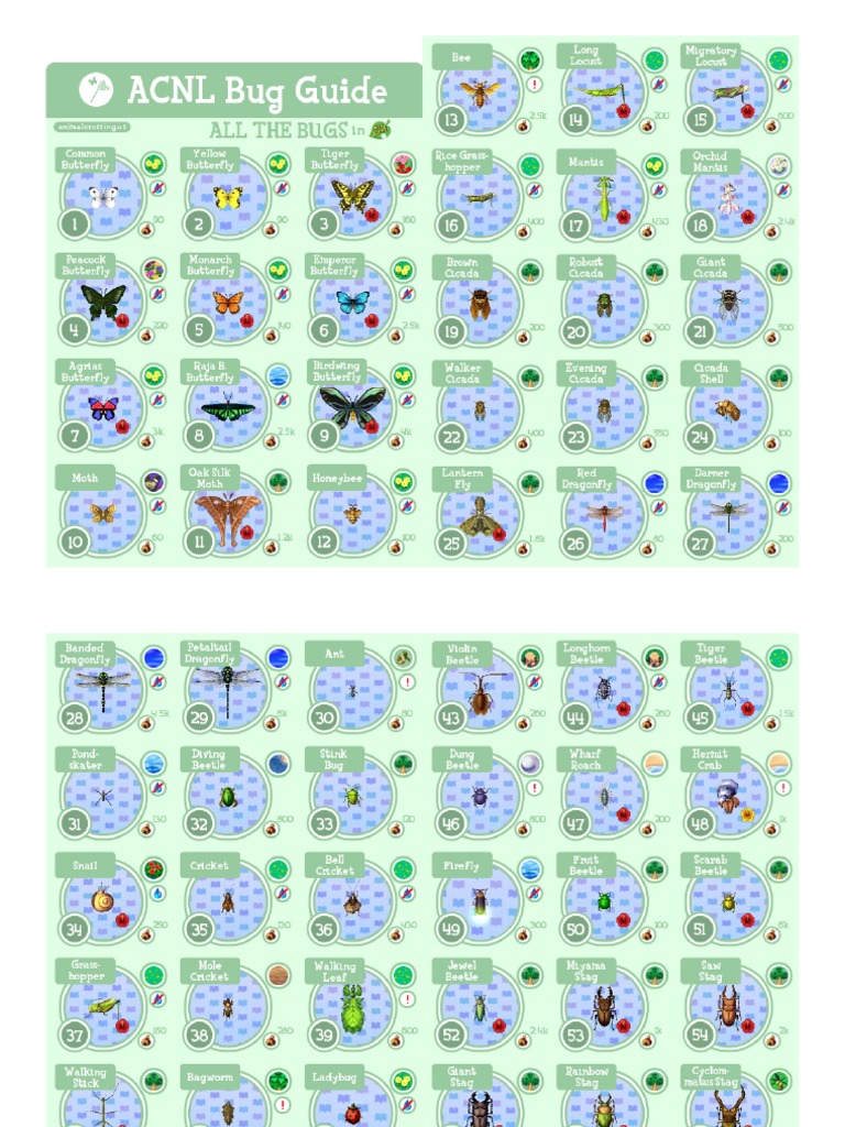Animal Crossing New Leaf Bugs Guide