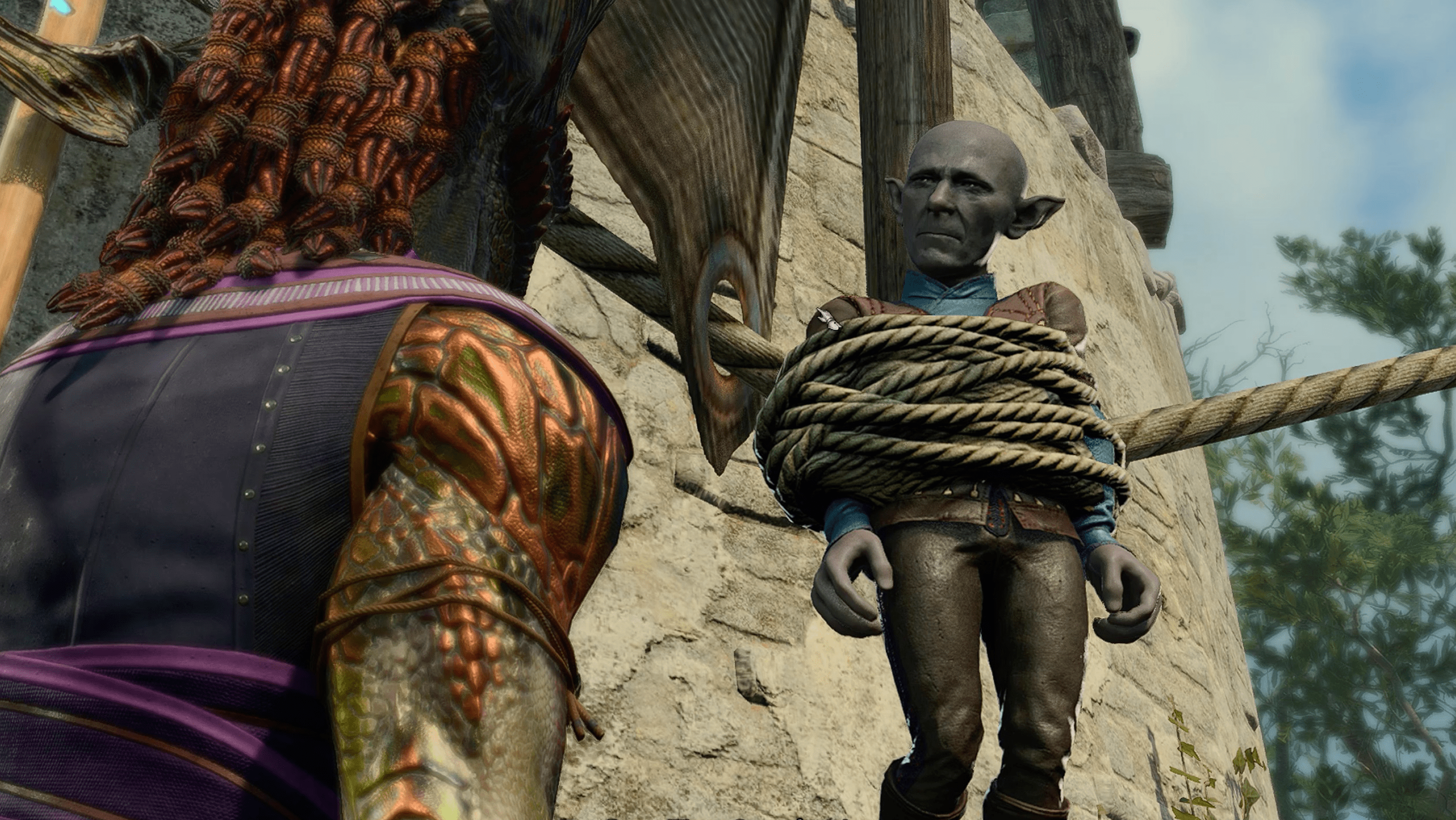 Baldur's Gate 3 Rope: The Quest for the Ultimate Solution
