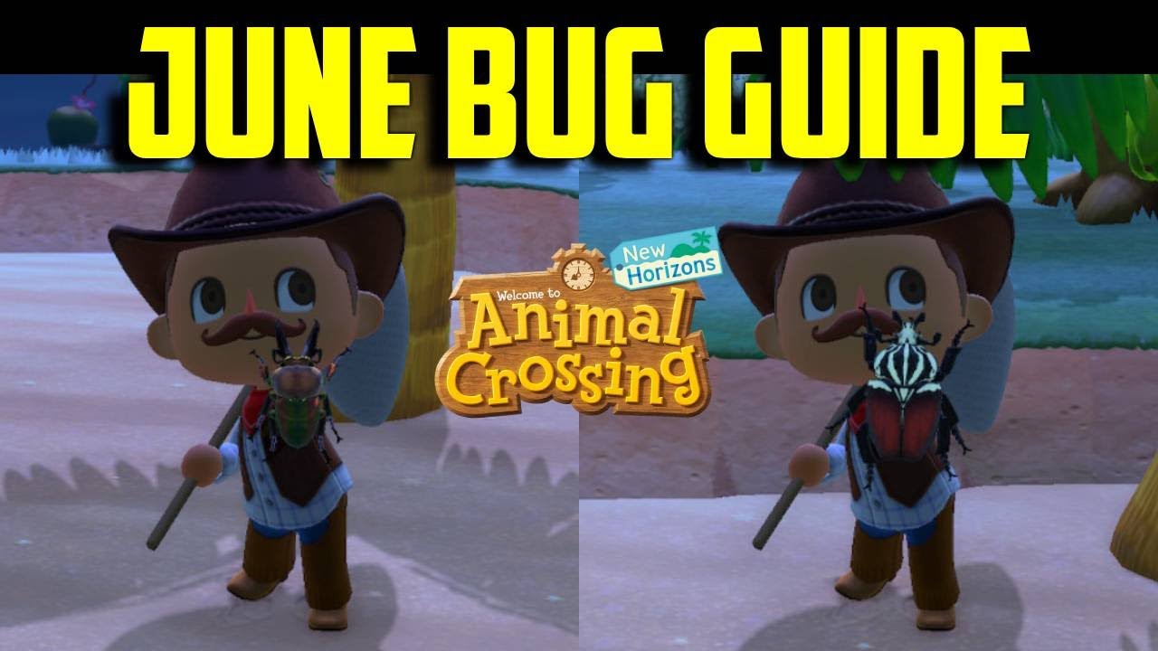 Animal Crossing New Horizons June Bugs: The Secret Insects Taking Over Your Island