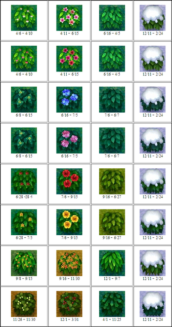 Azalea Bush ACNL: The Beautiful Yet Baffling Mystery