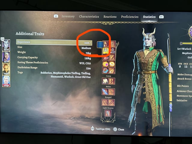 Baldur's Gate 3 Experience Bar: How to Deal with the Issue