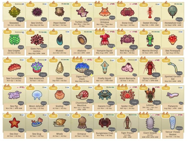 ACNH Sea Creatures December: All You Need to Know