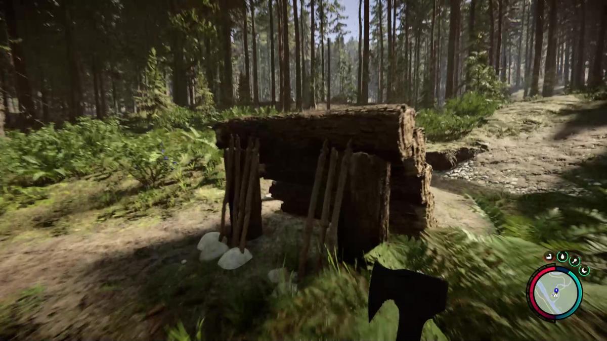 Bed Sons of the Forest: Issues and Solutions