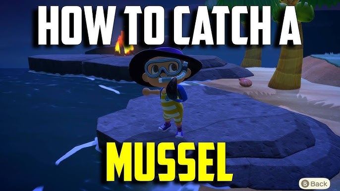 ACNH Mussel: What’s the Deal with This Little Shellfish?
